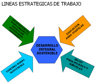 lineas-estrategicas