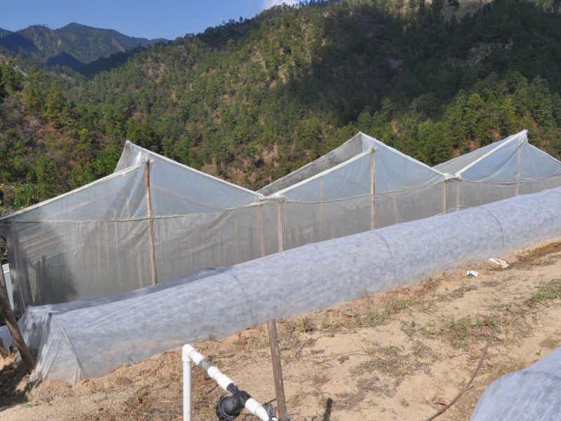 Productores-con-Invernaderos-en-Copanch’orti’