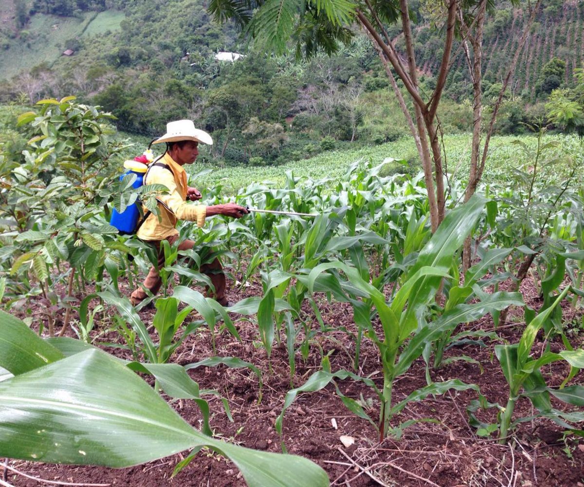 resiliencia-de-familias-agricultoras
